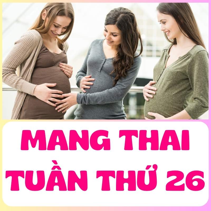 Các mẹ bầu trò chuyện vui vẻ về thai kỳ và em bé trong bụng của mình